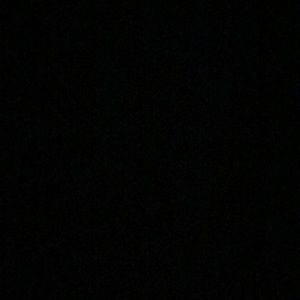 Meet your Posher, Allie